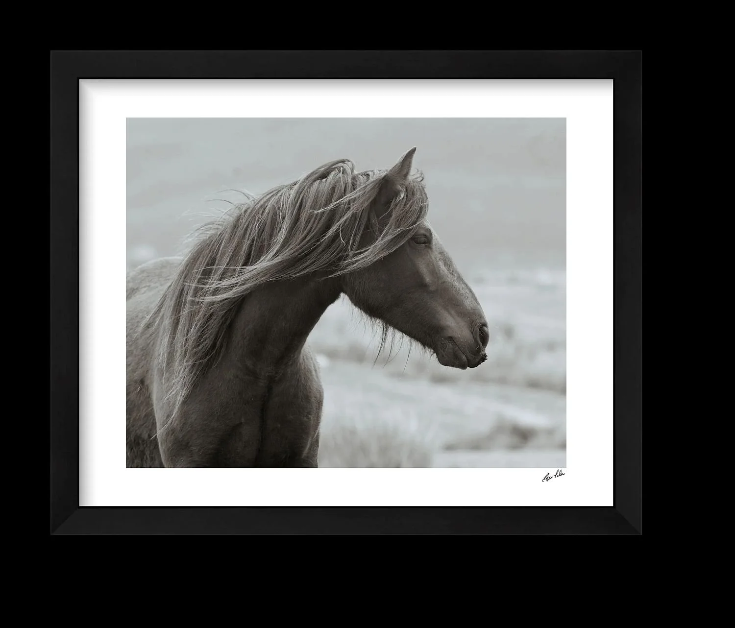 preview_fa0b327a_80500f02.jpg