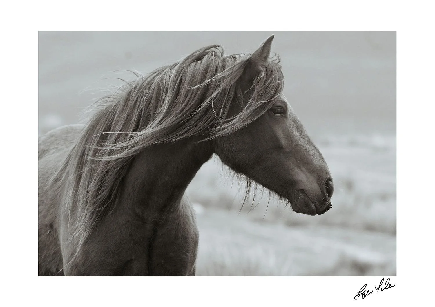 preview_9d500d36_0e20ec6b.jpg
