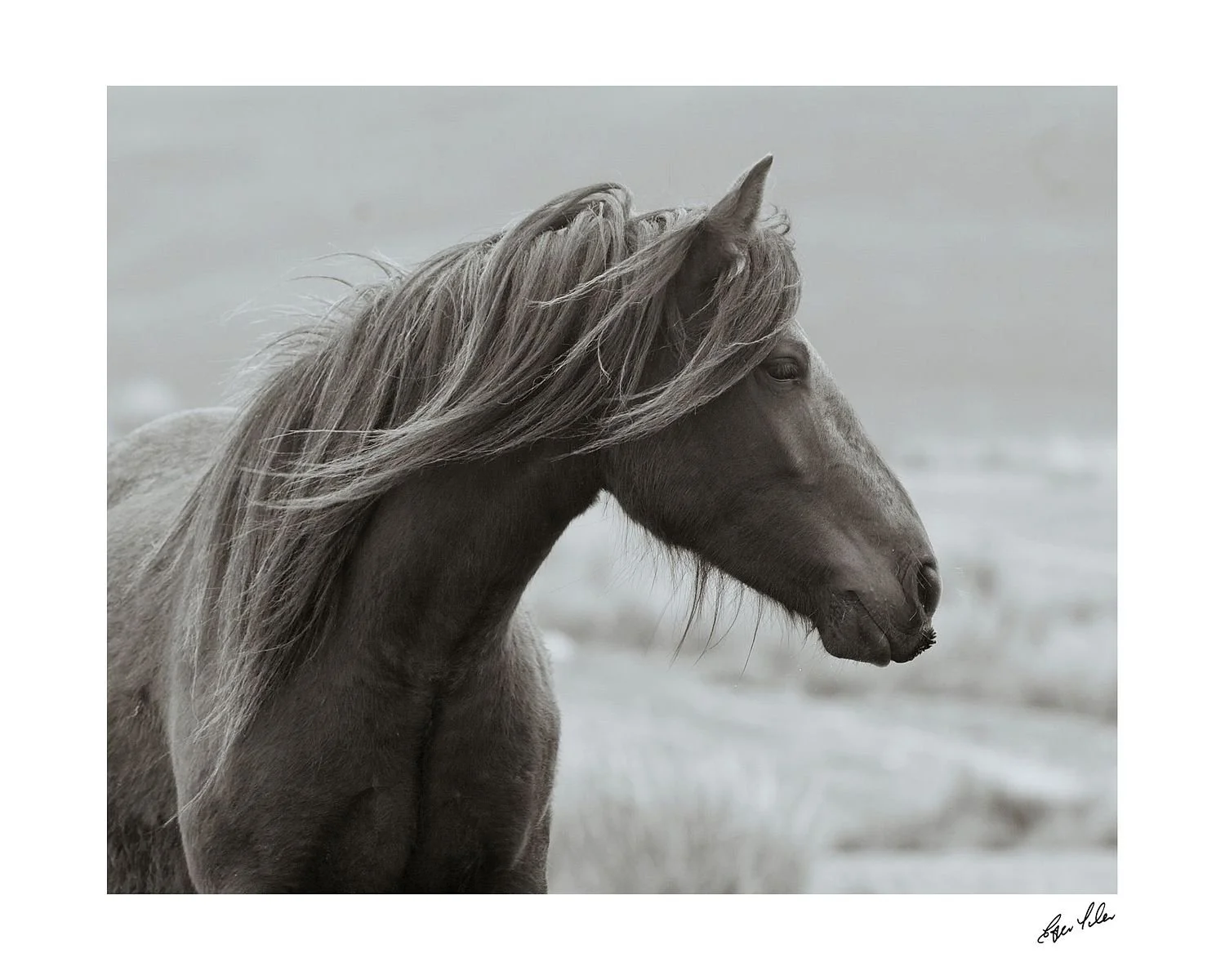 preview_19300636_8f0b0abd.jpg