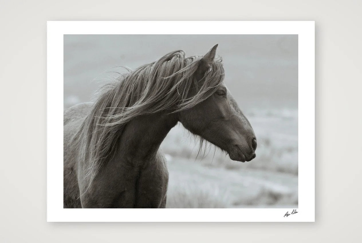 Wild Hearts - Fell Pony II