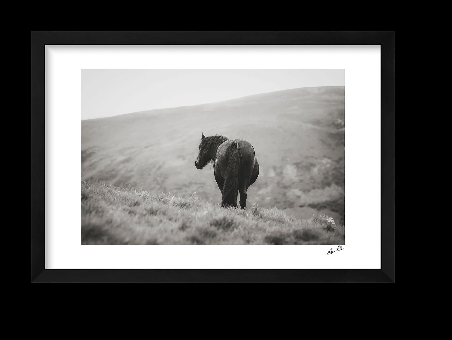 preview_2e7aea5a_d0b29317.jpg