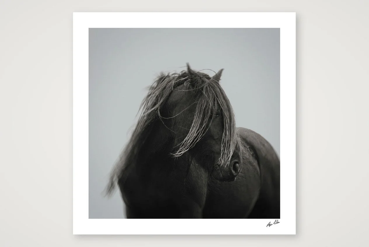 shot_table_227a39b3_44bb55a4.jpg