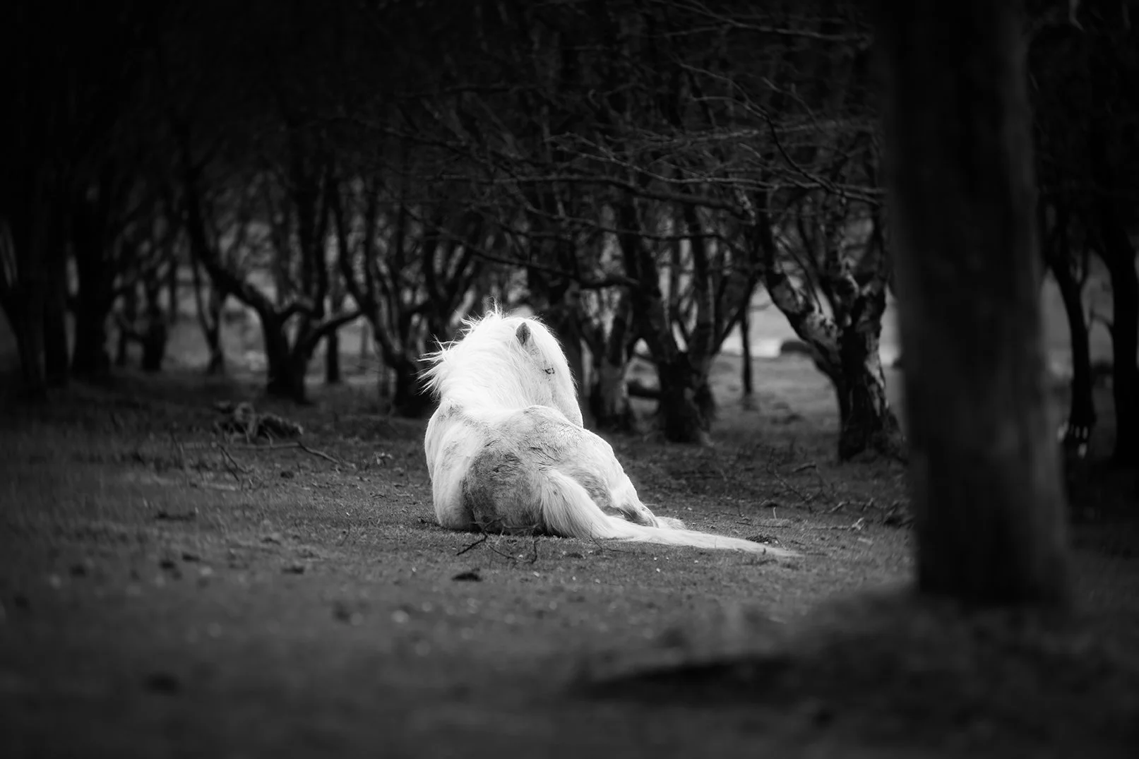 webHoly Isle April-93.jpg