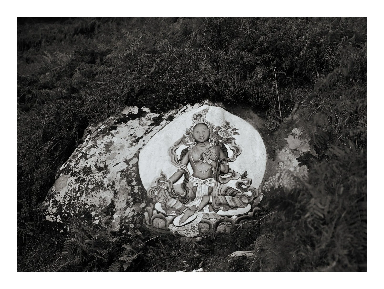 Holy Isle 1st visit-6.jpg