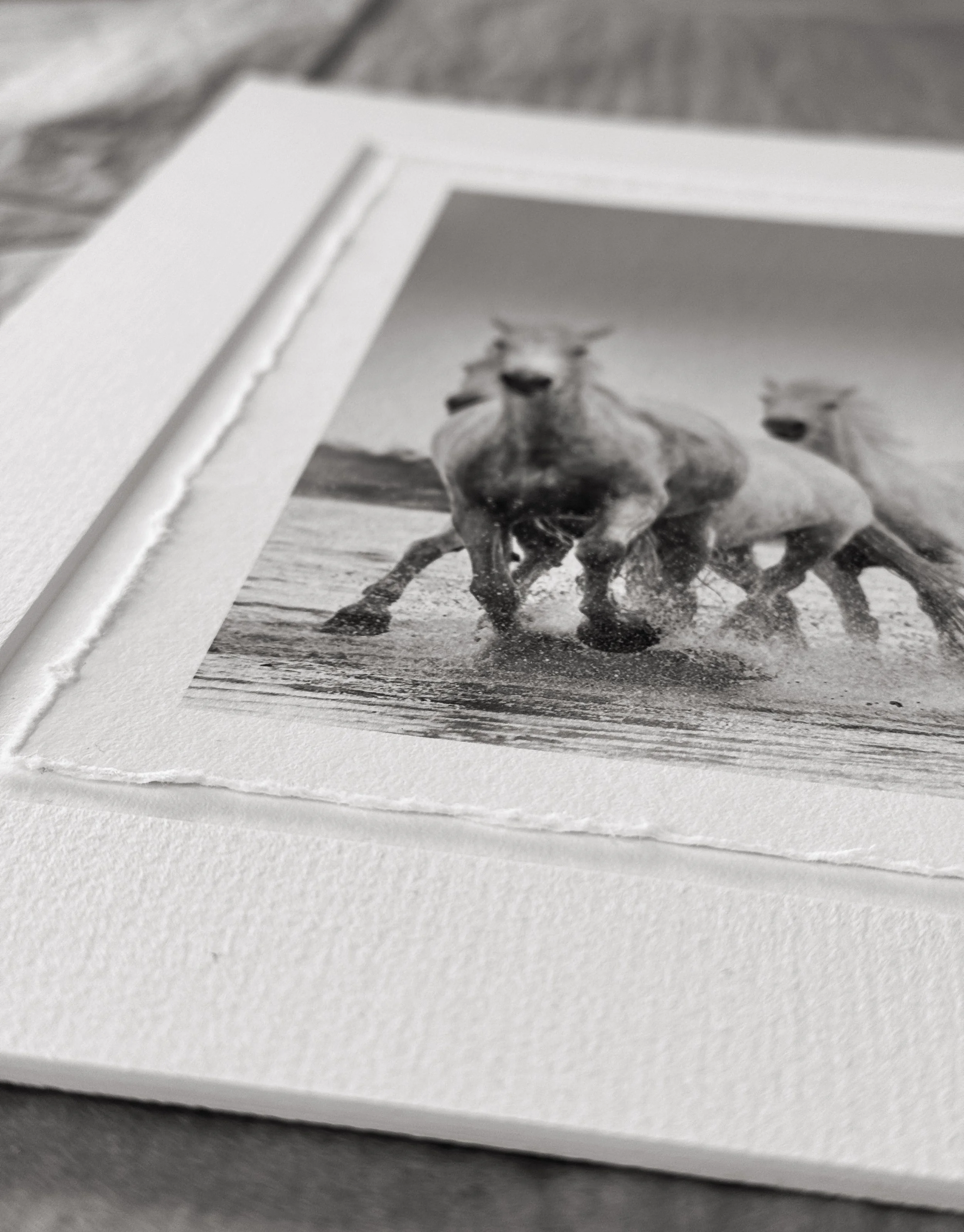 Black and white photo of three horses running through water, framed on textured white paper.