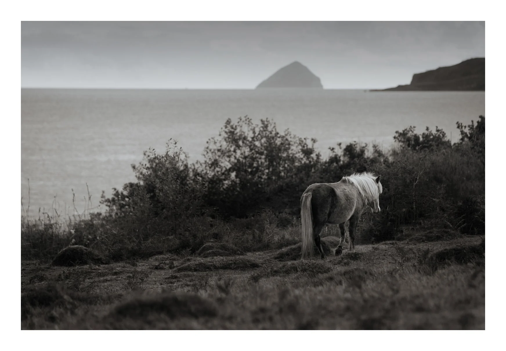 Holy Isle 1st visit-2.jpg