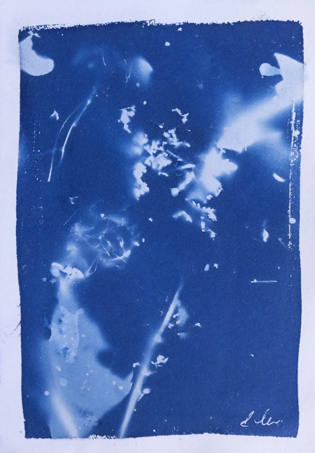Elemental 1
Environmental cyanotype, 2026
Unique Cyanotype Original
A4/8 × 11"
Saddleworth Moor
Available - Enquire for pricing