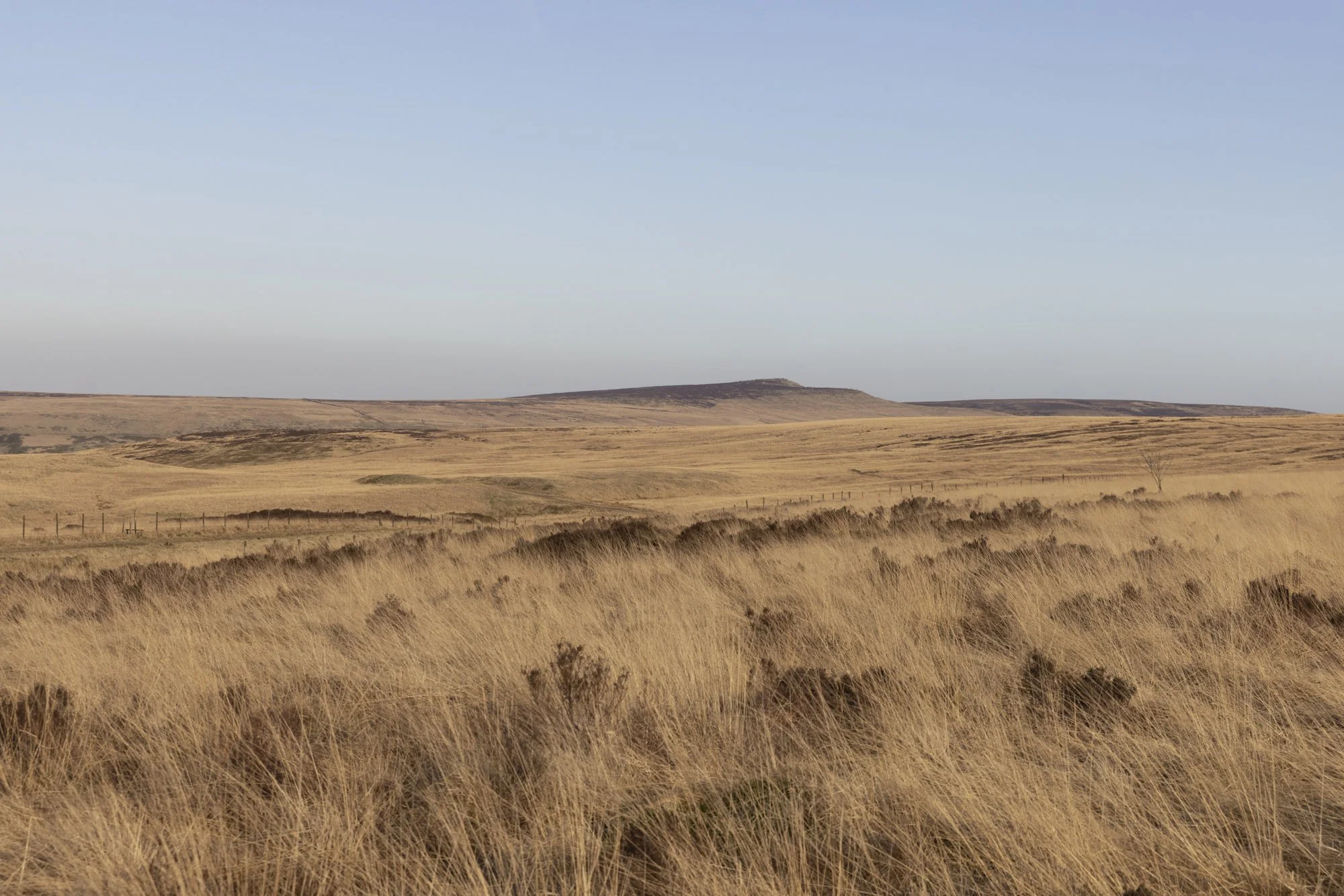 Pennine landscape-1.jpg