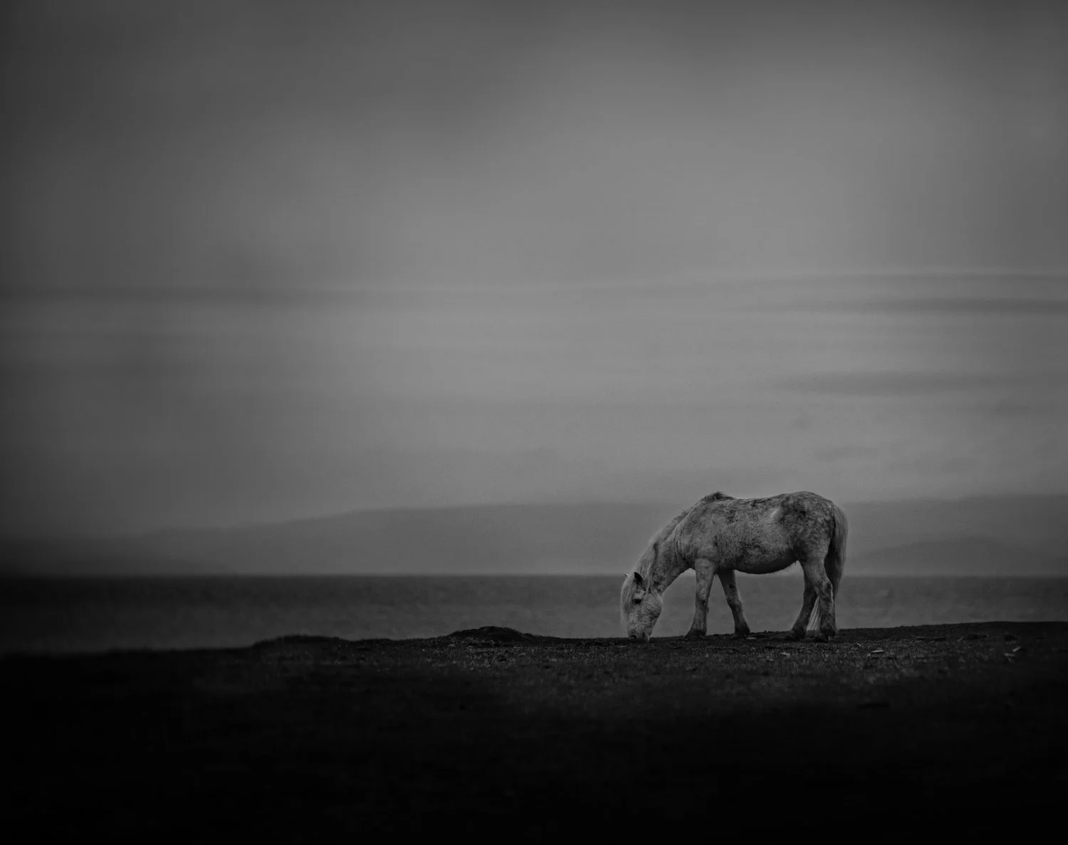 Holy Isle Aprilweb-27.jpg