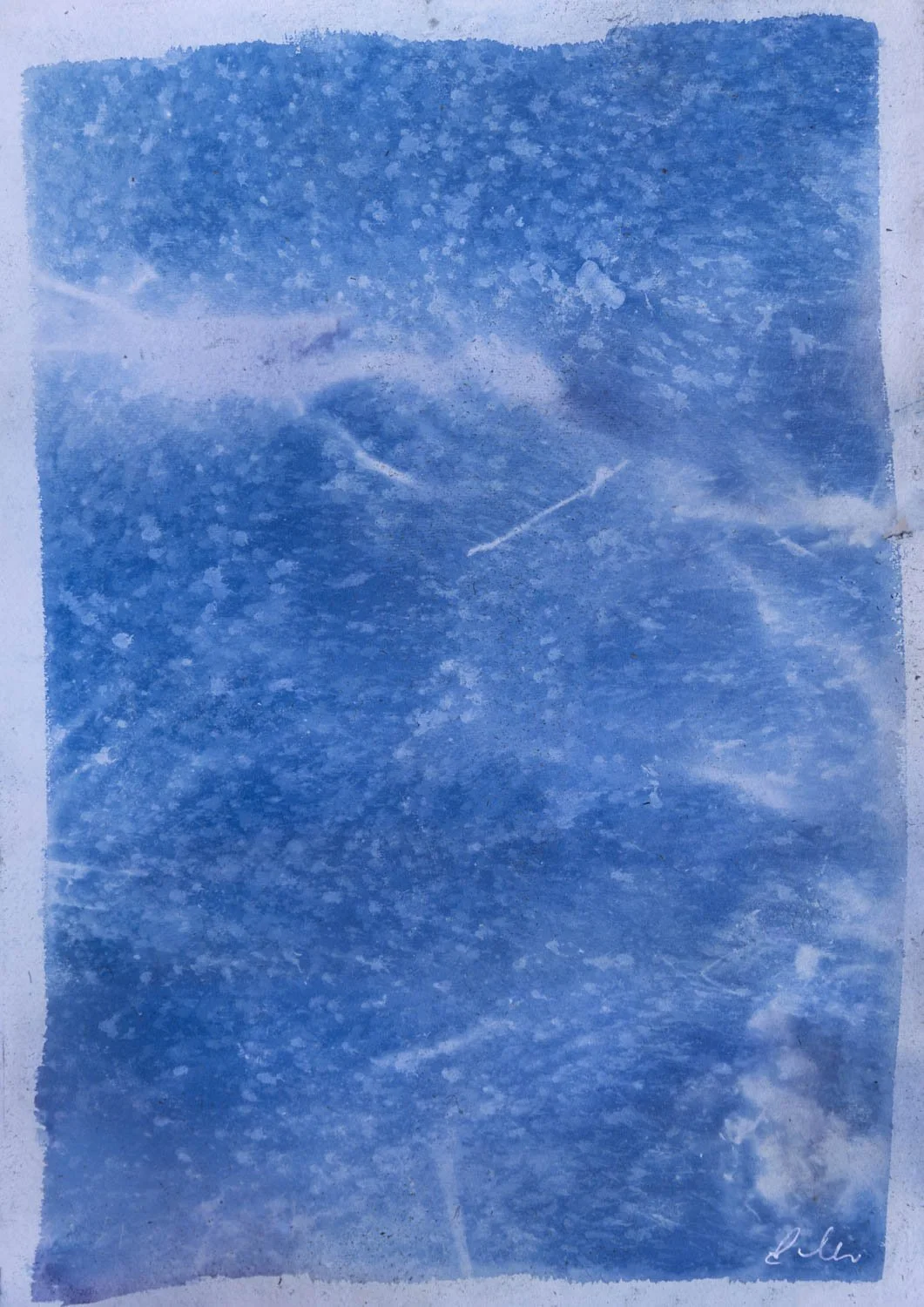 Elemental 4
Environmental cyanotype, 2026
Unique Cyanotype Original
A3/ 11 × 16
Saddleworth Moor
Available - Enquire for pricing