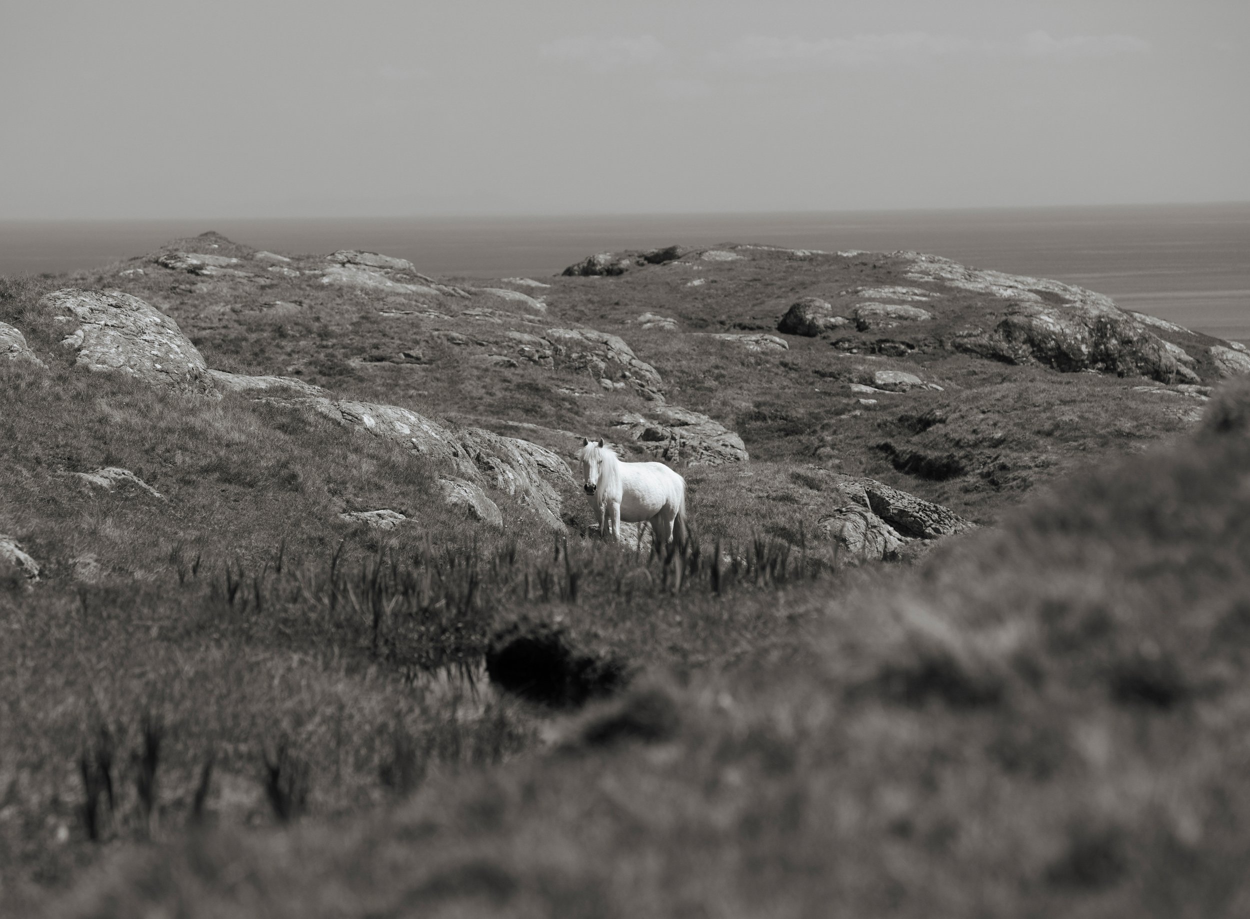 Eriskay-4.jpg