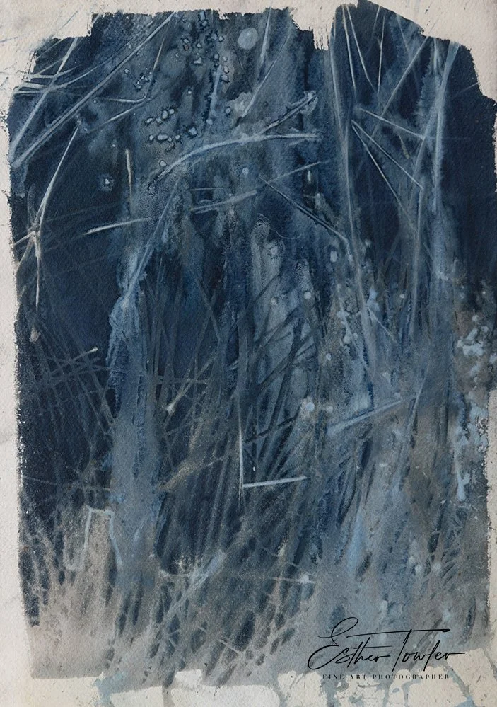 Storm environmental cyanotype, 2026
Unique Cyanotype Original
A3
Saddleworth Moor
Available - Enquire for pricing
