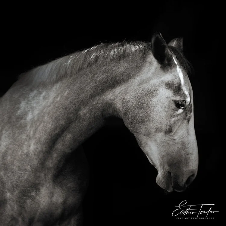 Charmaysocial BW-20.jpg