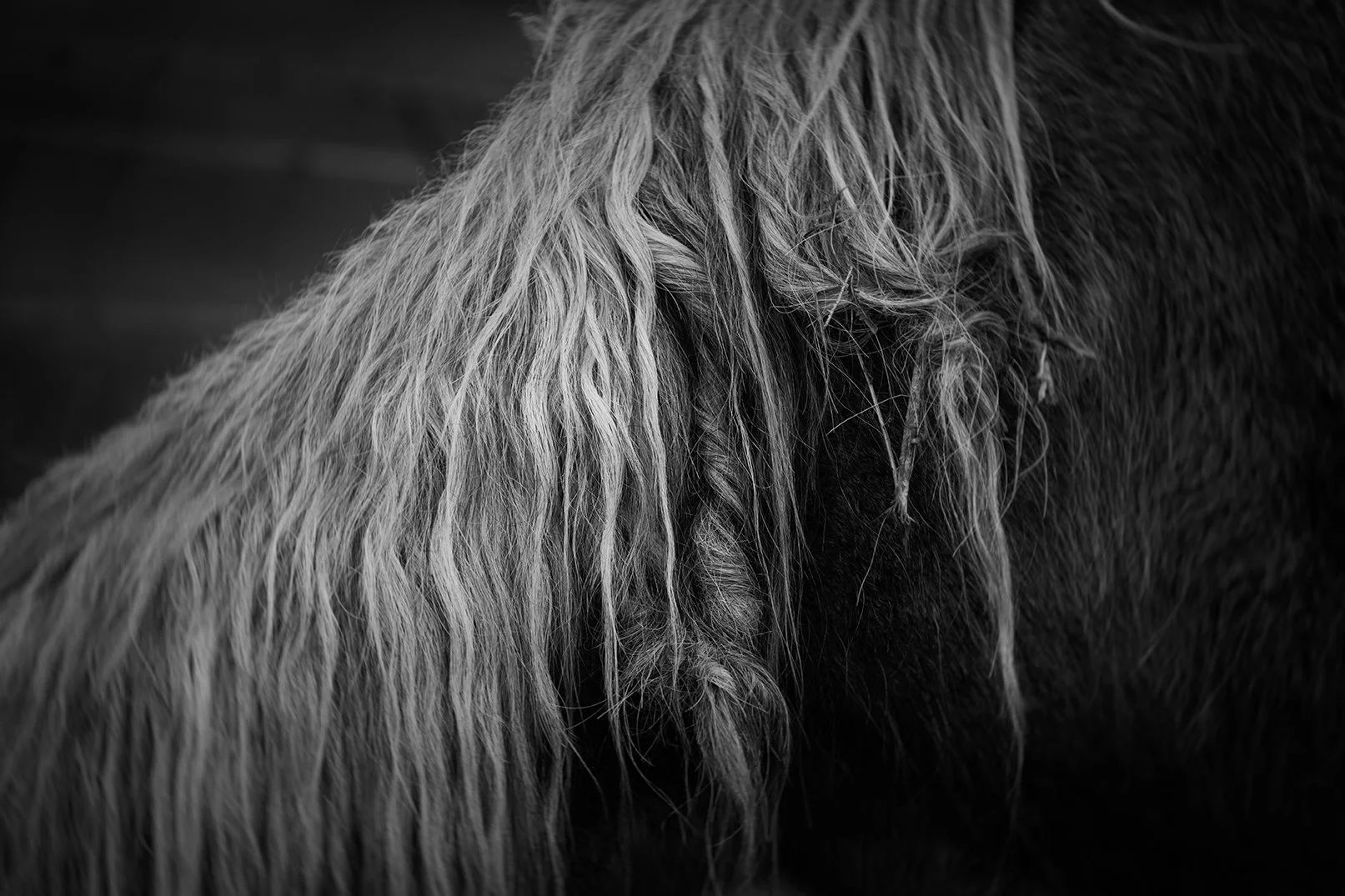 webHoly Isle April-80.jpg