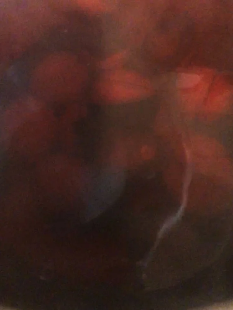 How To Dye Fabric With Avocado Pits