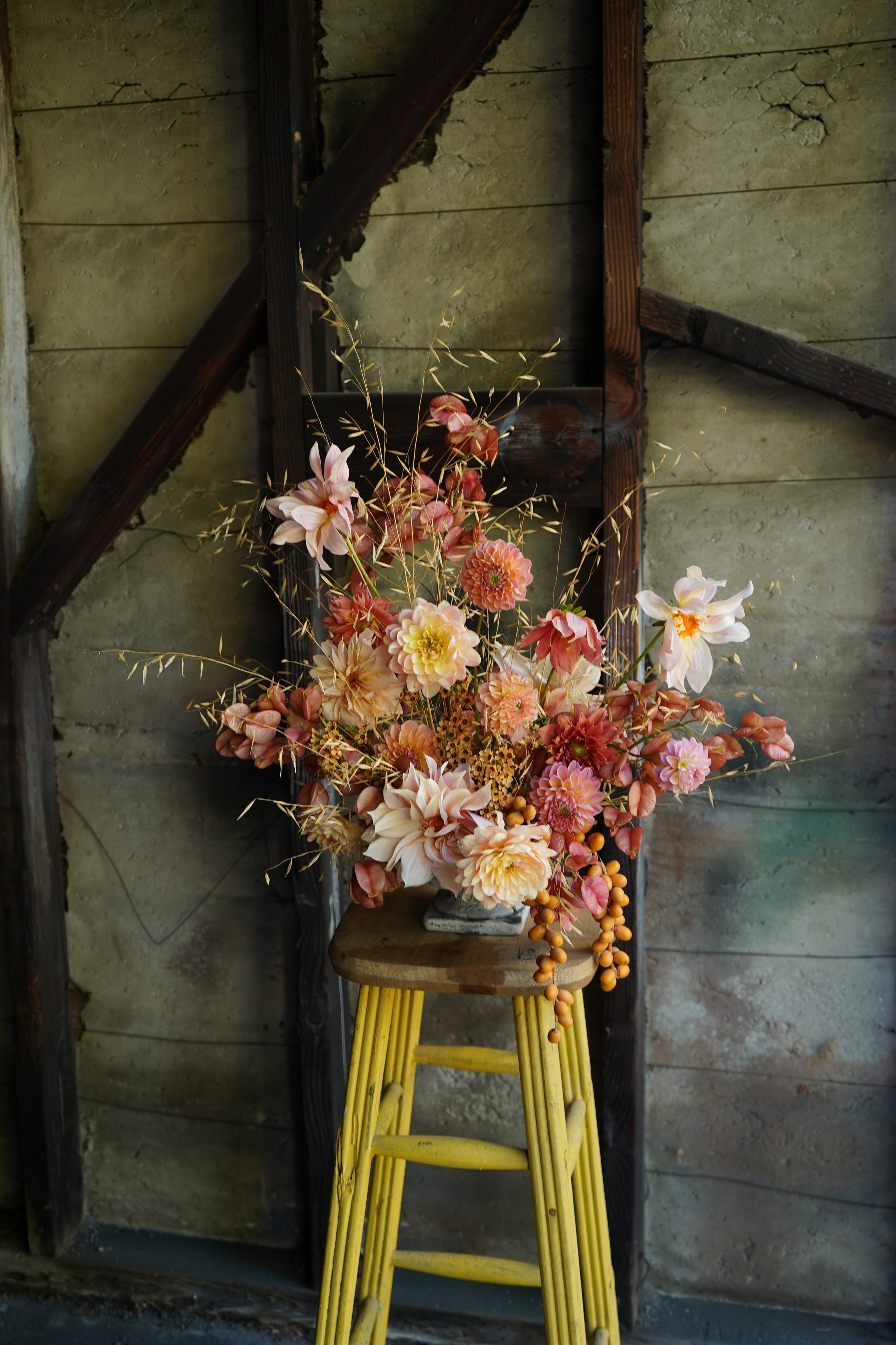 DSC02416-2.jpg