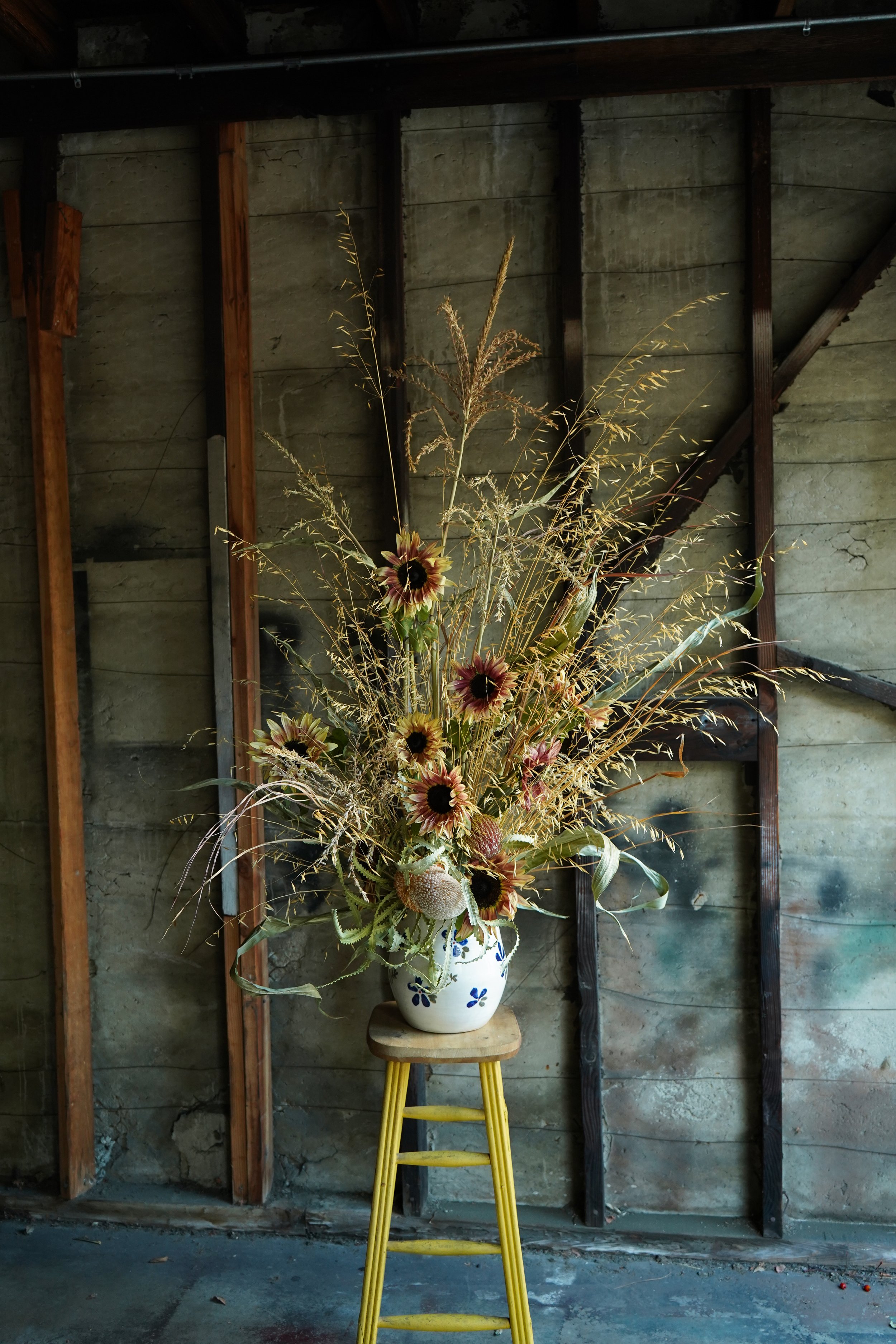 DSC02870-2.jpg