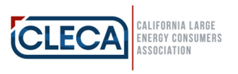 CLECA Logo.png