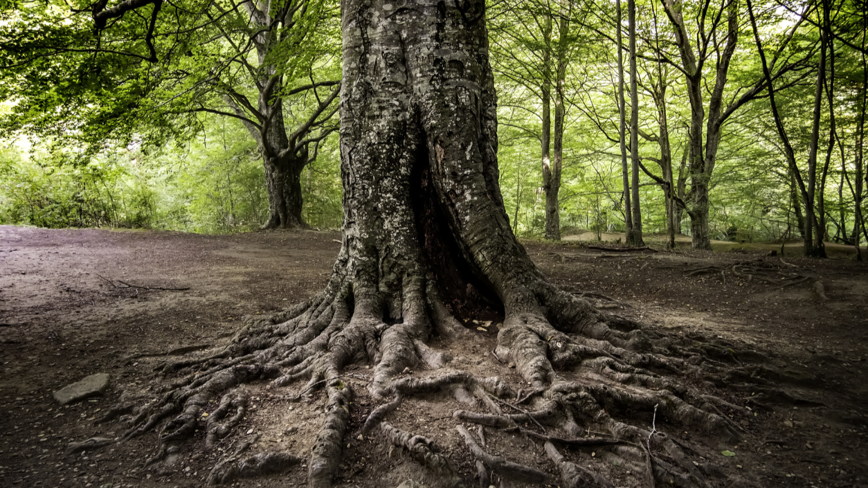 Are your promises falling flat?