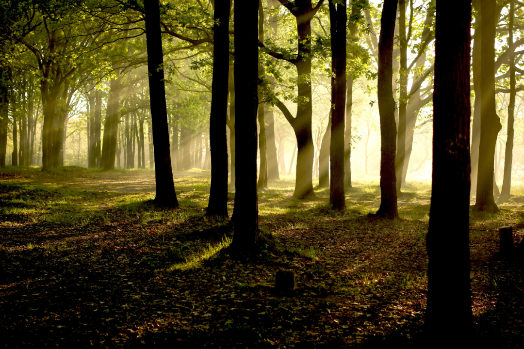 It's A Matter Of Trust