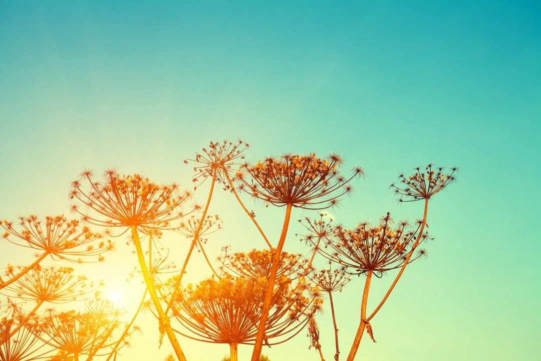 3 Confidence Killers And How To Fix Them