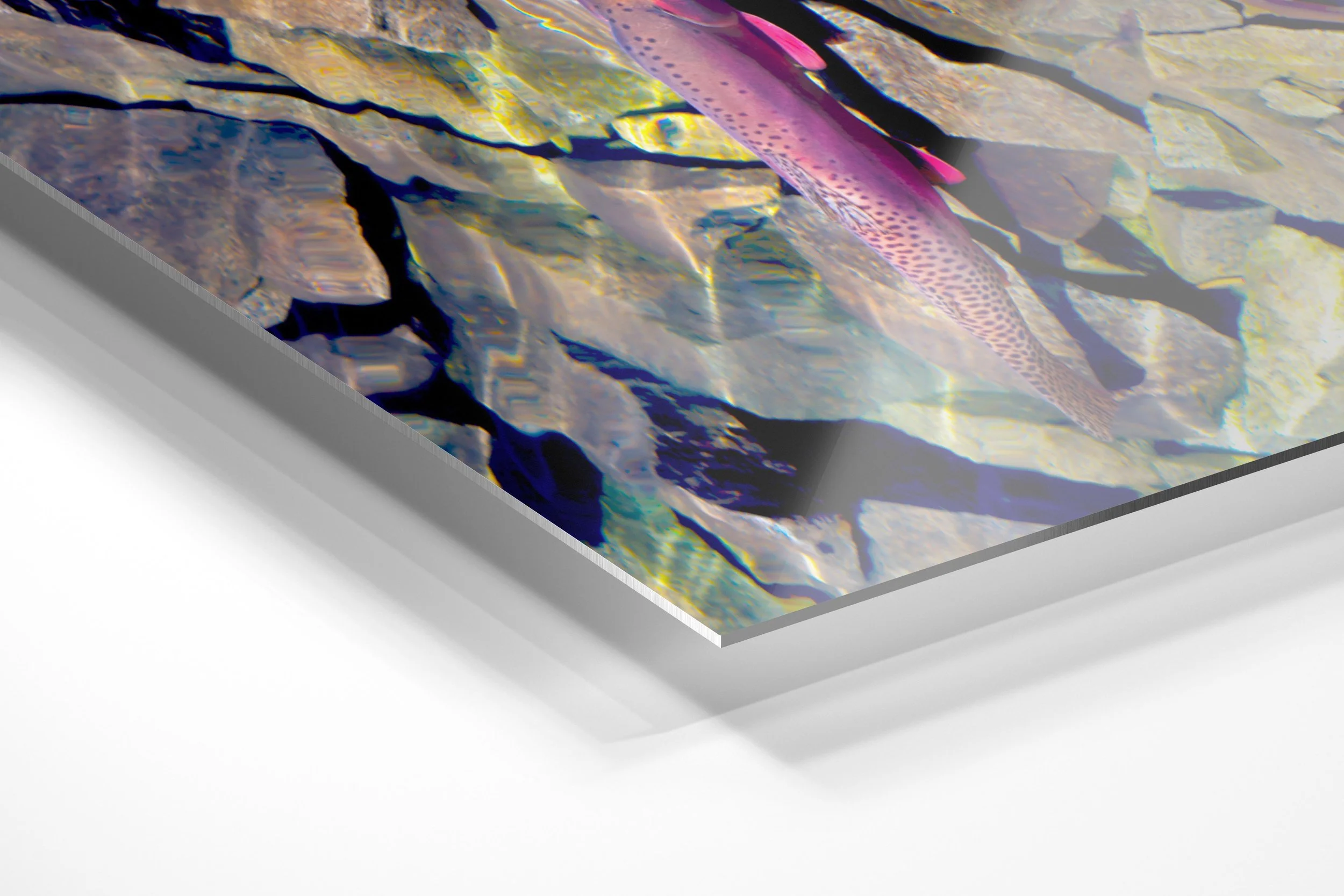 Clear Water Trout.jpg