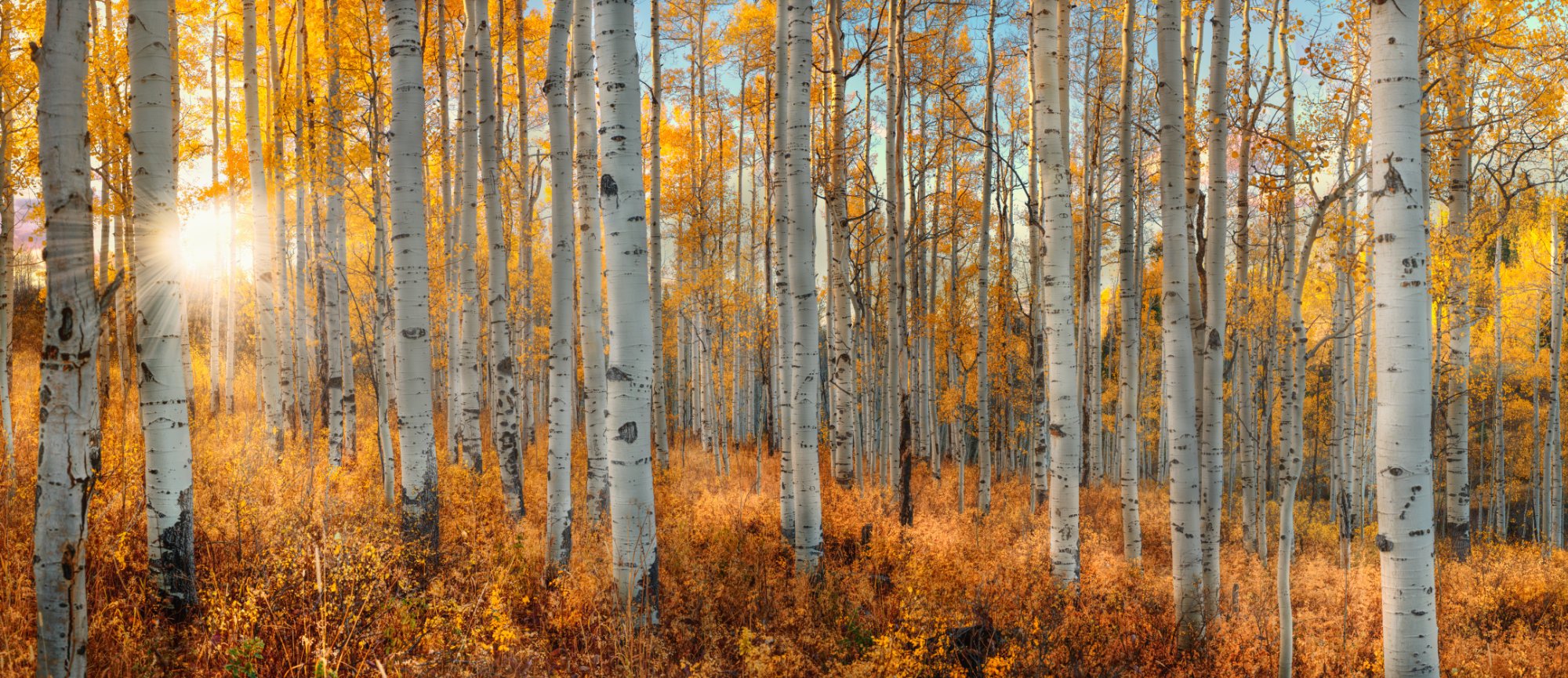 7_1_24 rabbit ears pass.jpg