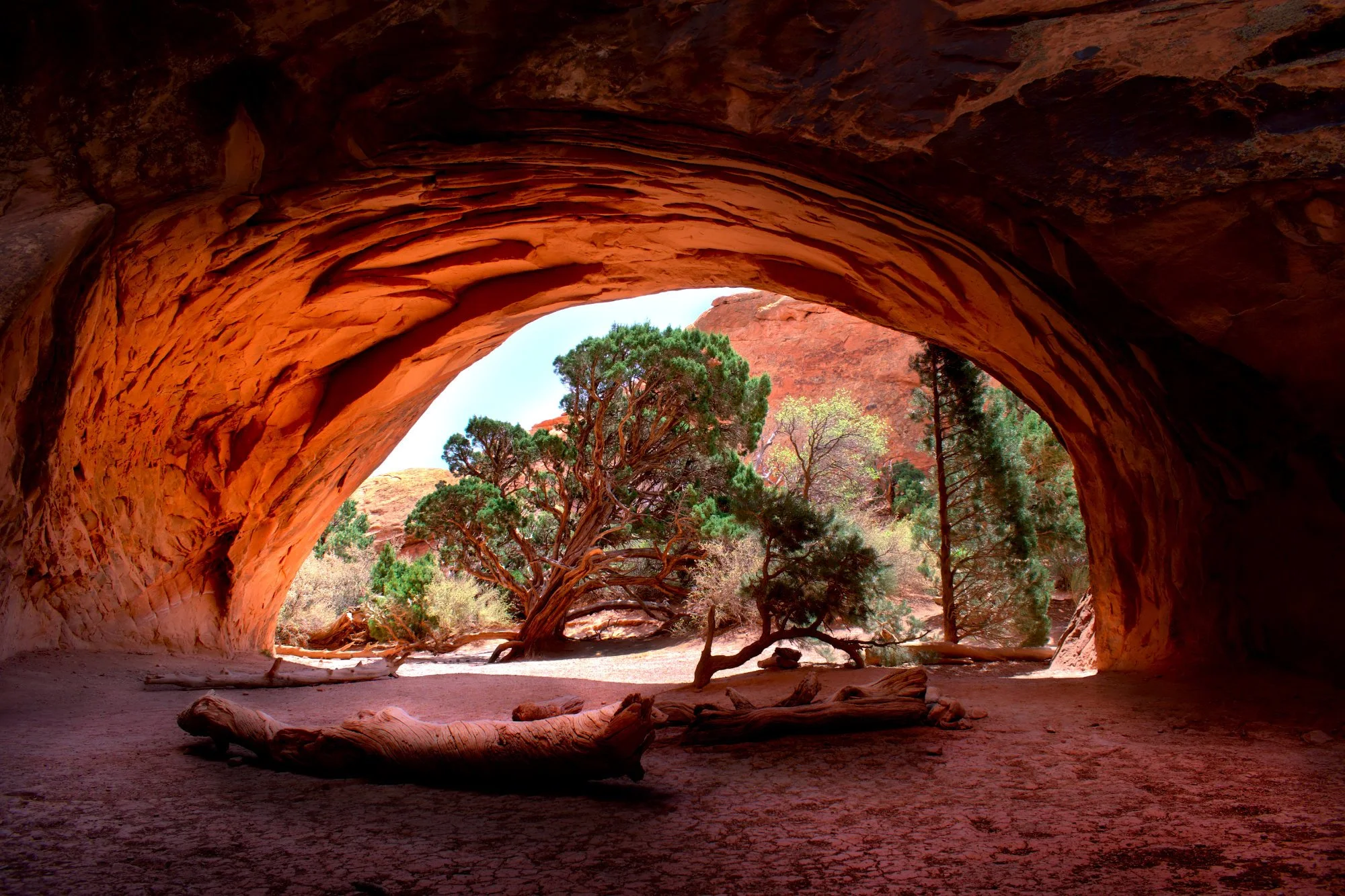 navajoarch.jpg
