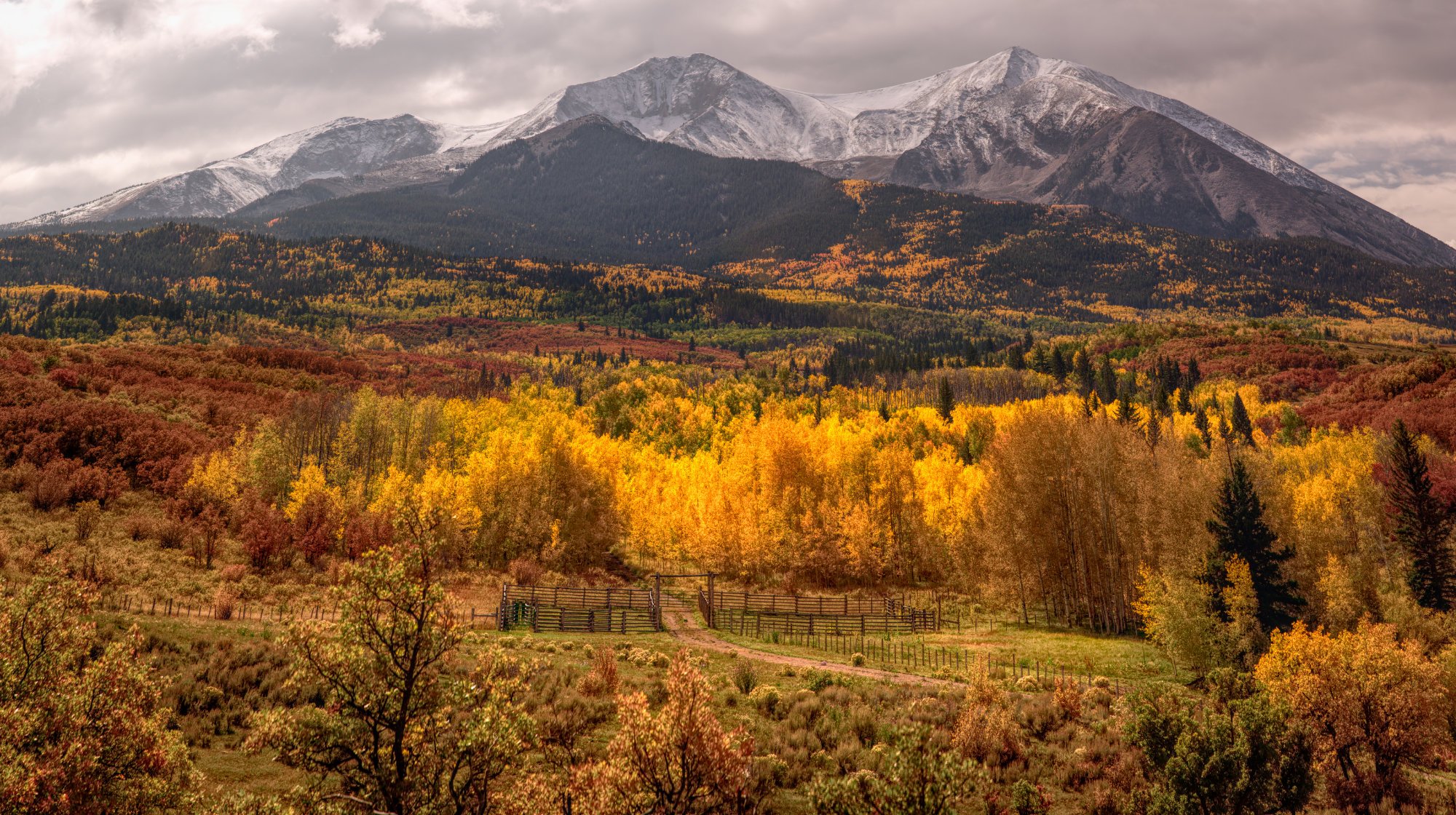 FALL SOPRIS FINAL 85_.jpg