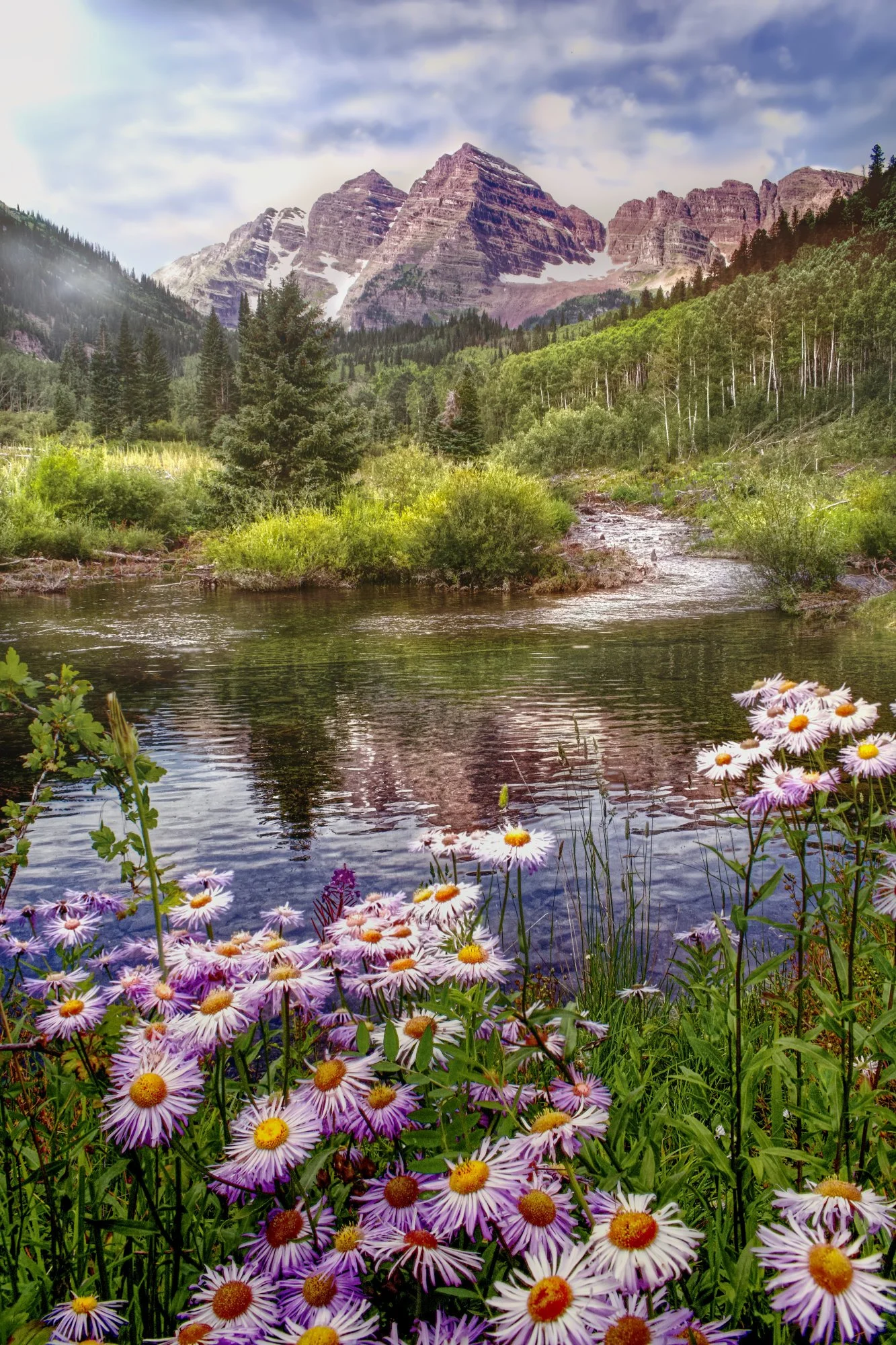 Spring Bells flowers.jpg