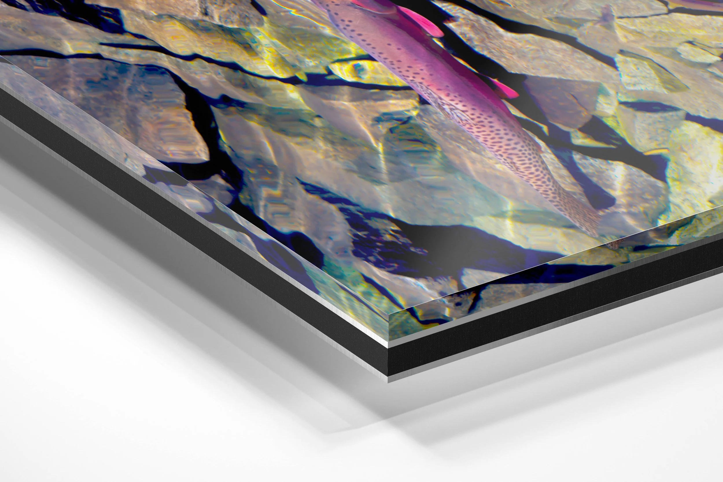 Clear water cutthroat.jpg
