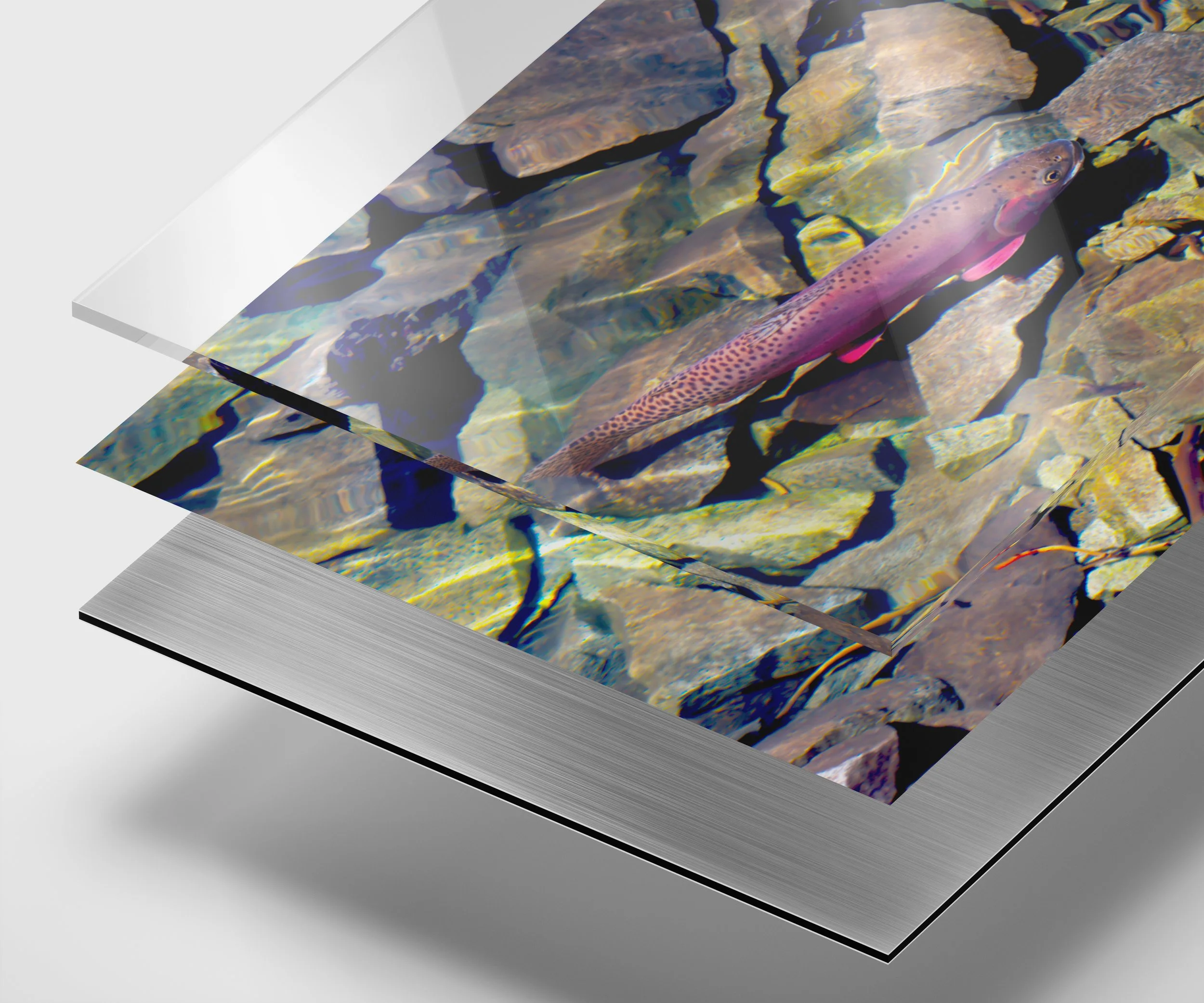 Clear water Cutthroat_.jpg