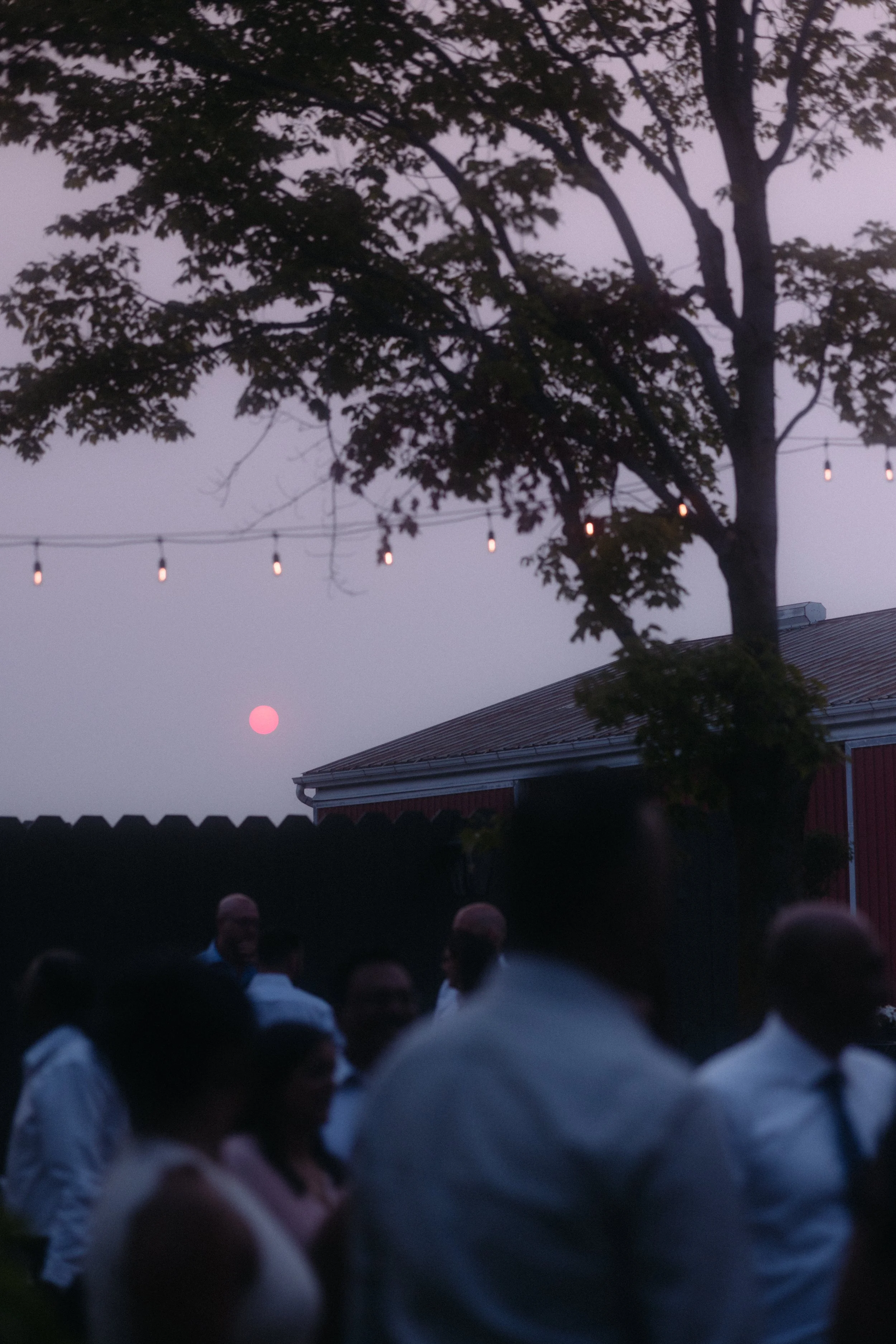 An outdoor gathering during dusk with a group of people, string lights hanging above, a large tree in the background, and a visible pink moon in the sky.