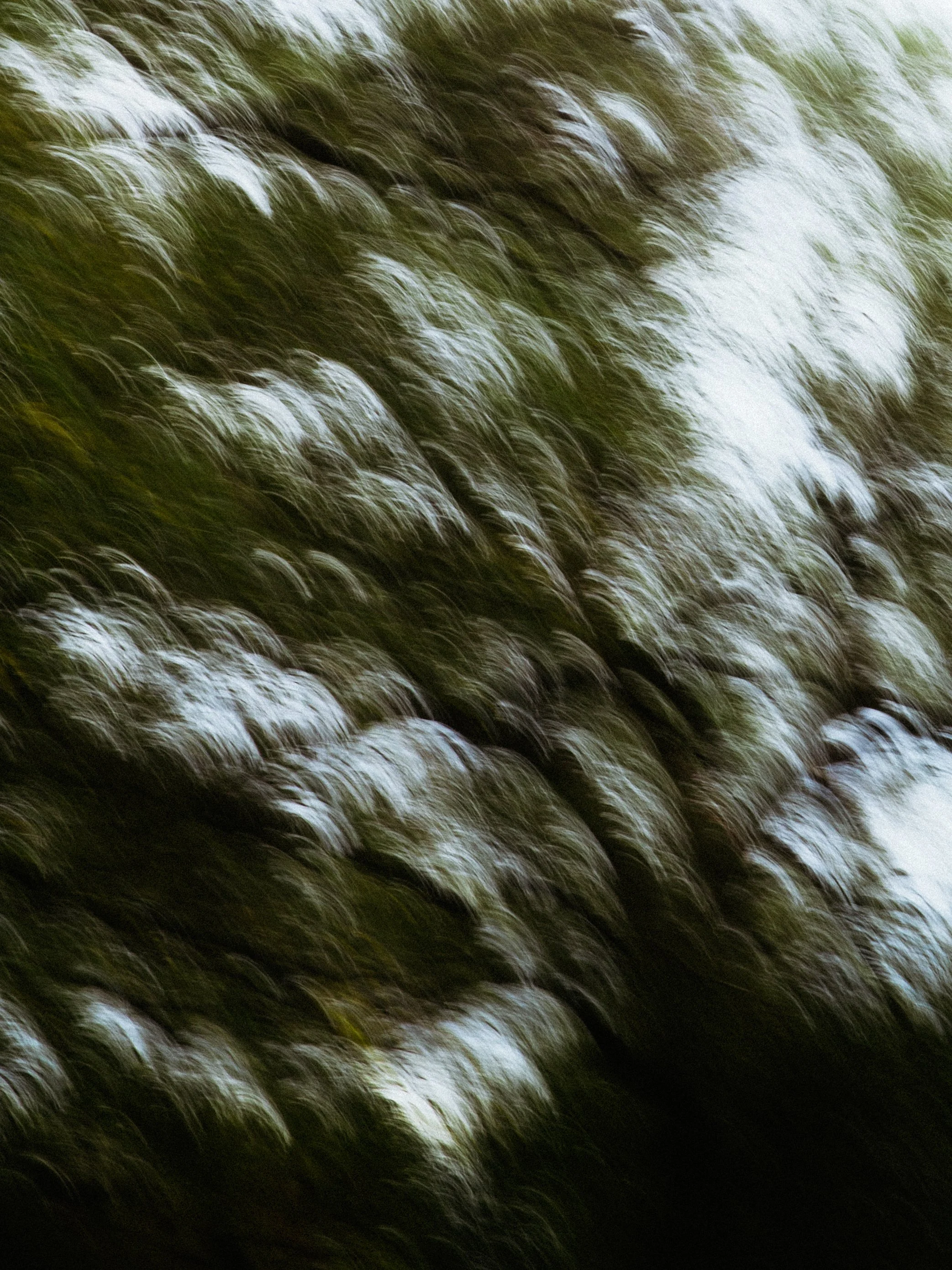 Blurred image of water flowing over rocks or plants.