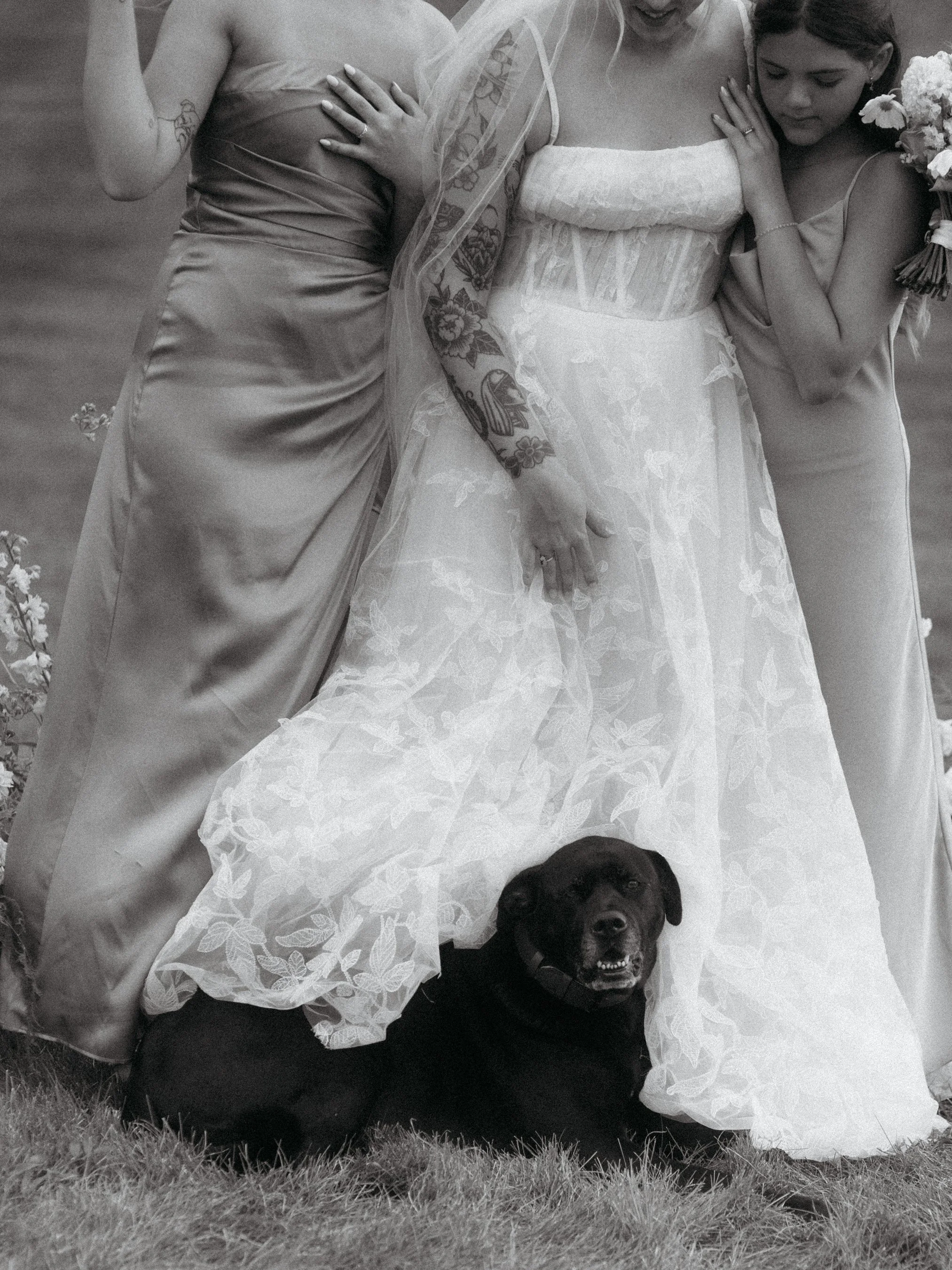 A group of women, including a bride in a white lace wedding dress with floral tattoo on her arm, and a black dog lying on the grass beneath them during a wedding celebration.