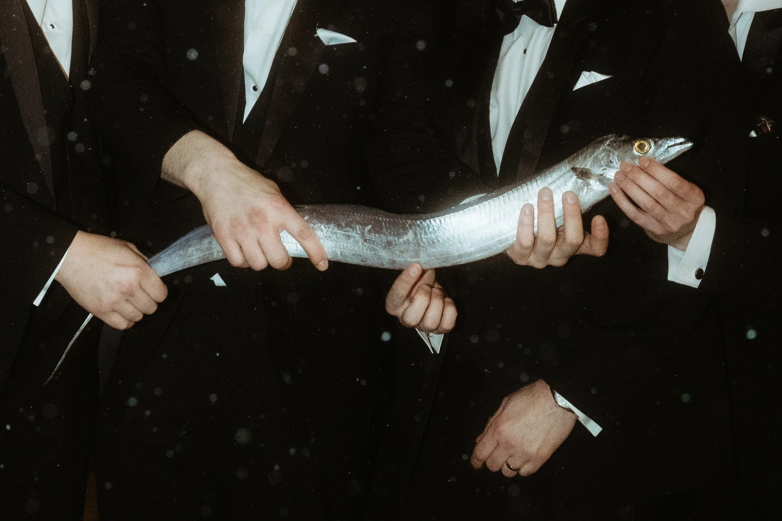 Multiple people dressed in tuxedos holding a large fish, likely a herring, horizontally in a formal setting.