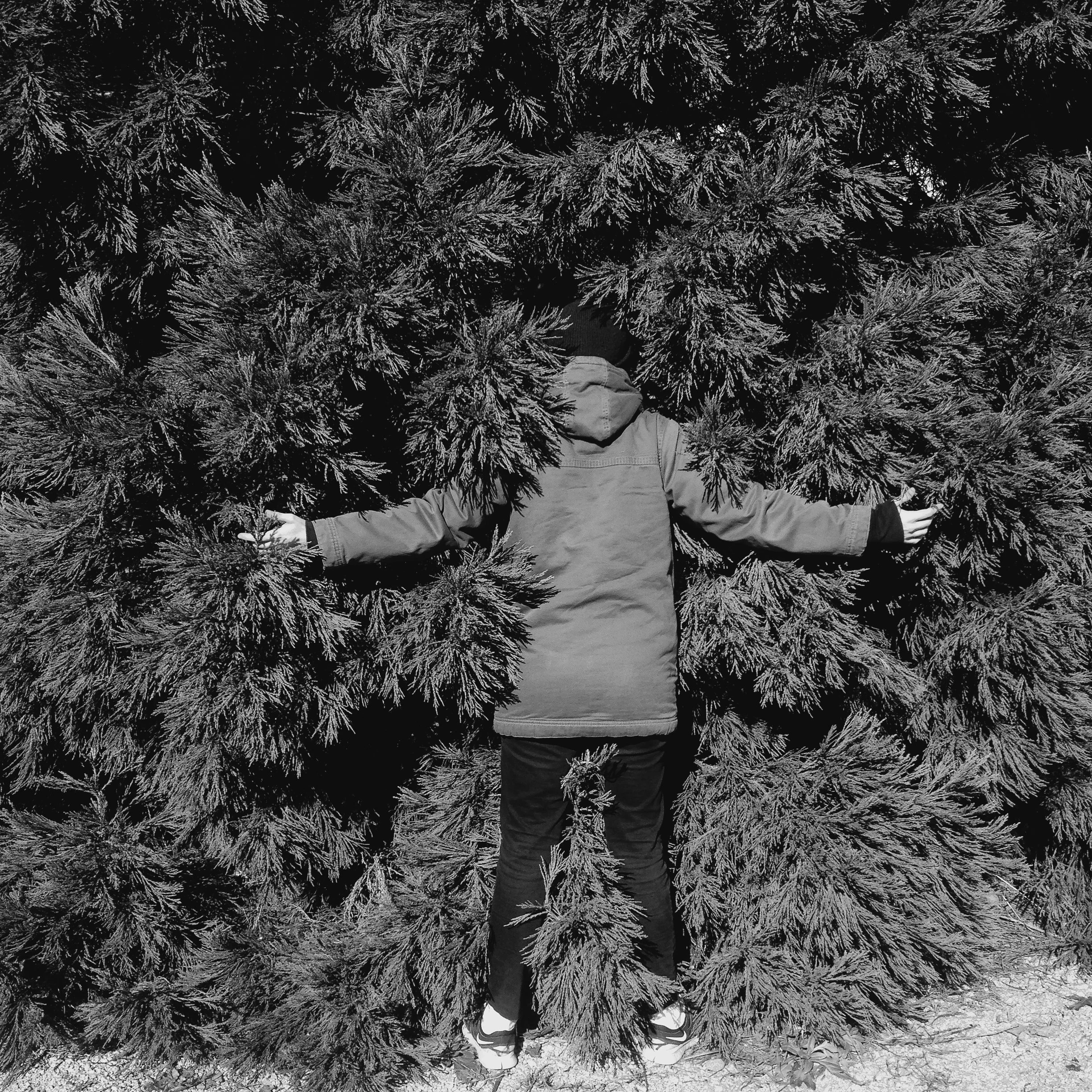 A person stands with their back to the camera, arms outstretched, in front of dense, dark, snow-covered pine trees, creating a natural frame around them.
