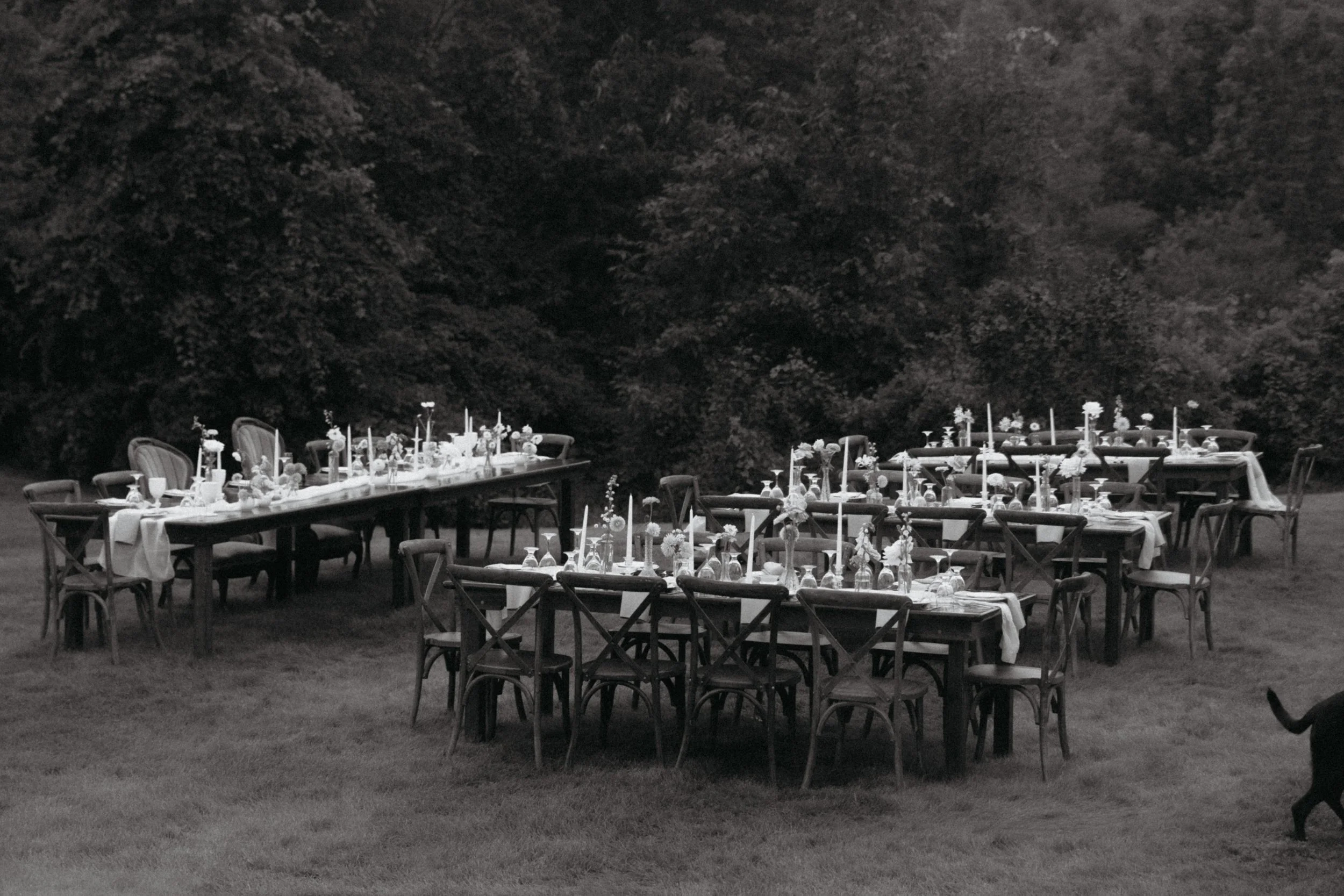 Outdoor dining setup with multiple tables and chairs, decorated with flowers and candles, on a grassy area with trees in the background.