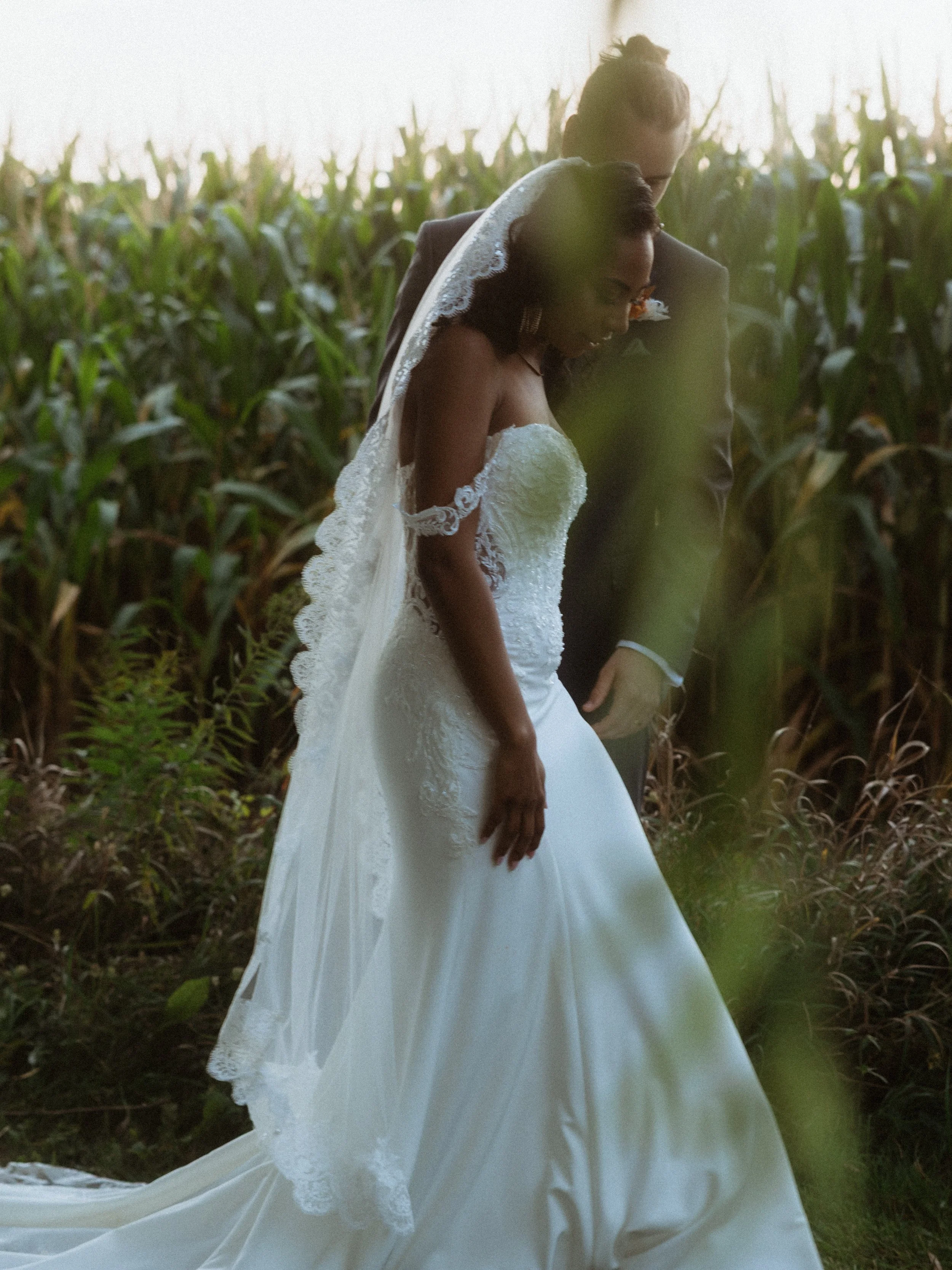 A bride in a white wedding gown and veil standing with a groom in a suit in a cornfield at sunset.