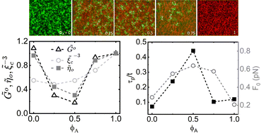 Scale-dependent interactions enable emergent microrheological stress response in actin-vimentin composites