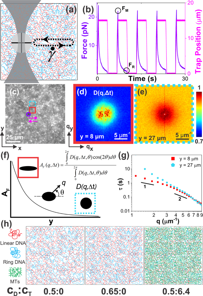 OpTiDDM (Optical Tweezers integrating Differential Dynamic Microscopy) maps the spatiotemporal propagation of nonlinear stresses in polymer blends and composites