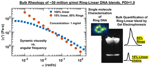 Rheology of Entangled Solutions of Ring–Linear DNA Blends