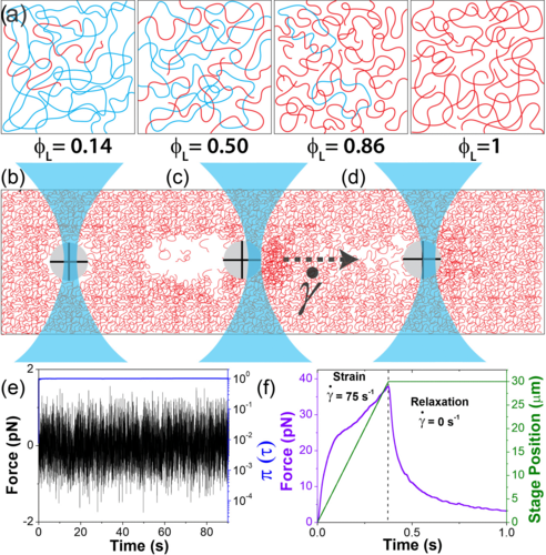 Viscoelastic properties of ring-linear DNA blends exhibit nonmonotonic dependence on blend composition