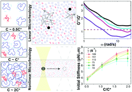 Unexpected entanglement dynamics in semidilute blends of supercoiled and ring DNA
