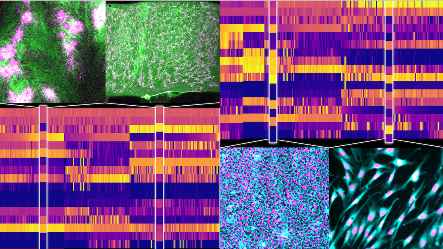 BARCODE: high throughput screening and analysis of soft active materials