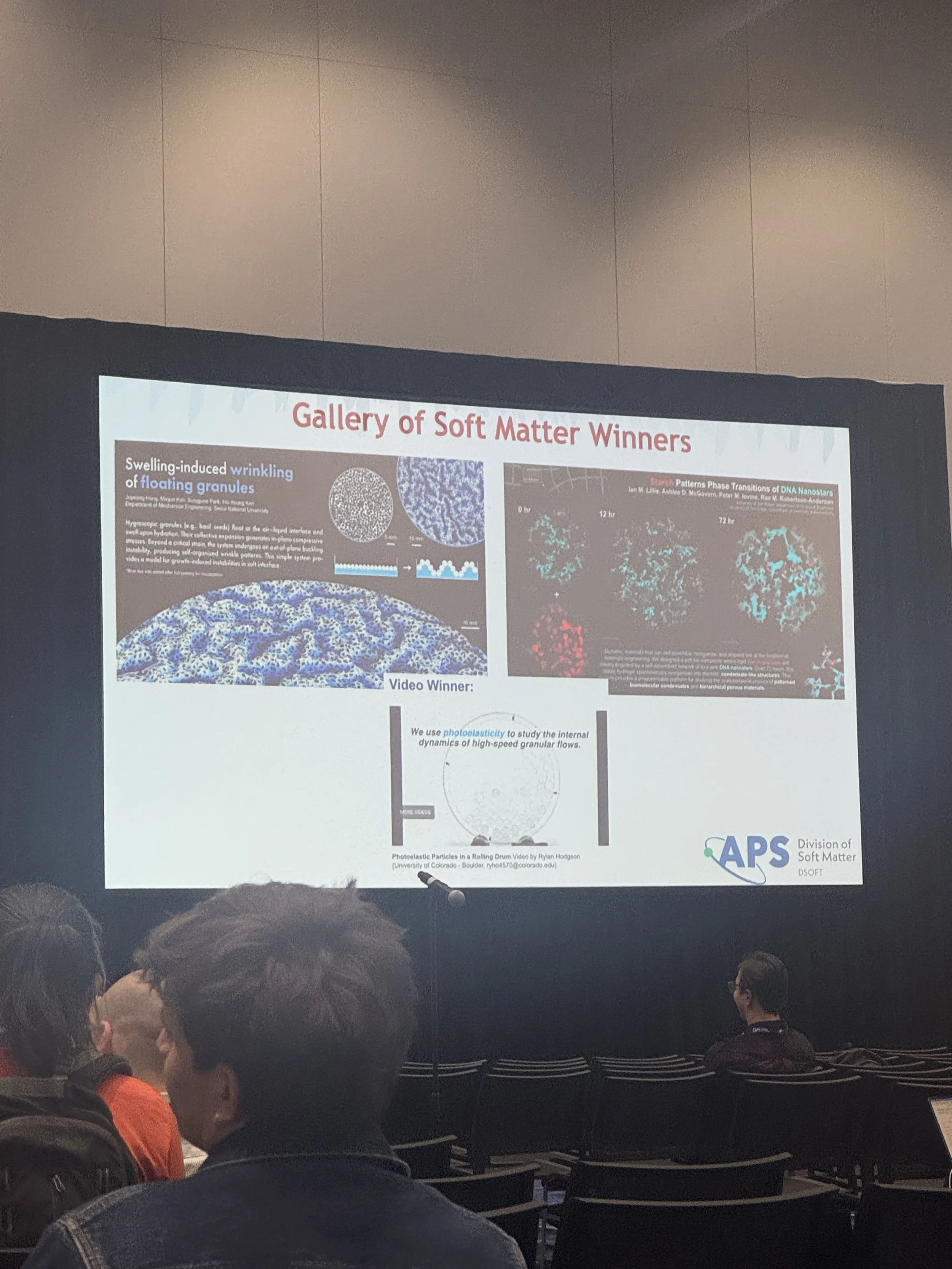 Post-baccalaureate researcher Ian Lillie wins an award for his poster at APS DSOFT’s Gallery of Soft Matter!