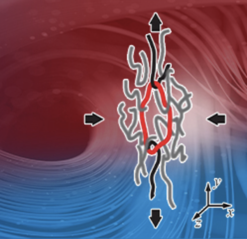 Ring polymer physics and rheology: Challenges and opportunities