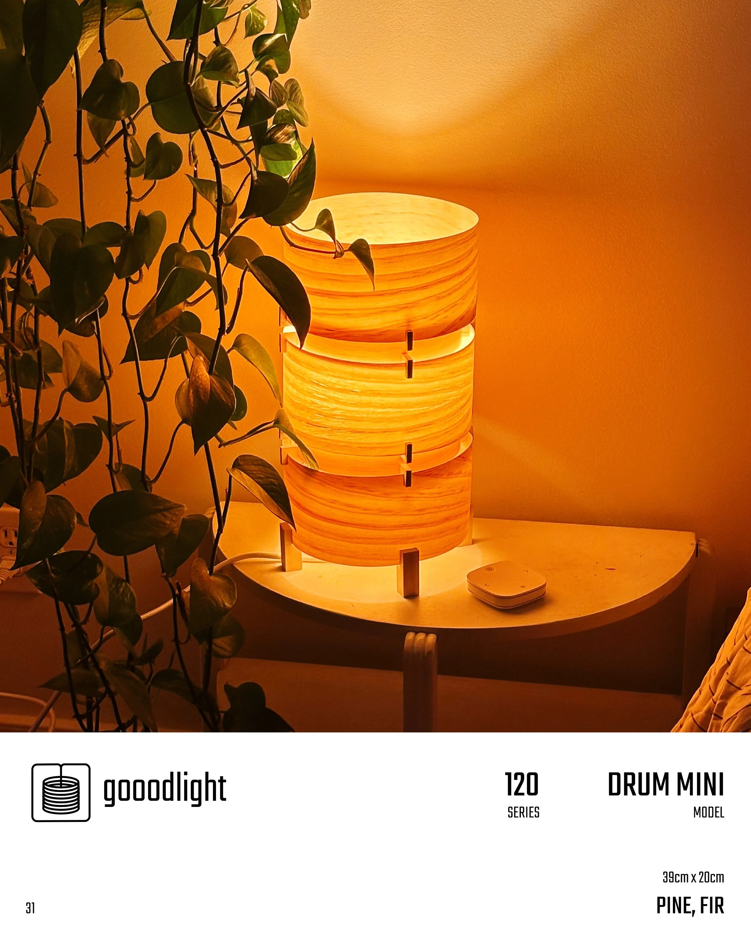 Goodlight_29.jpg