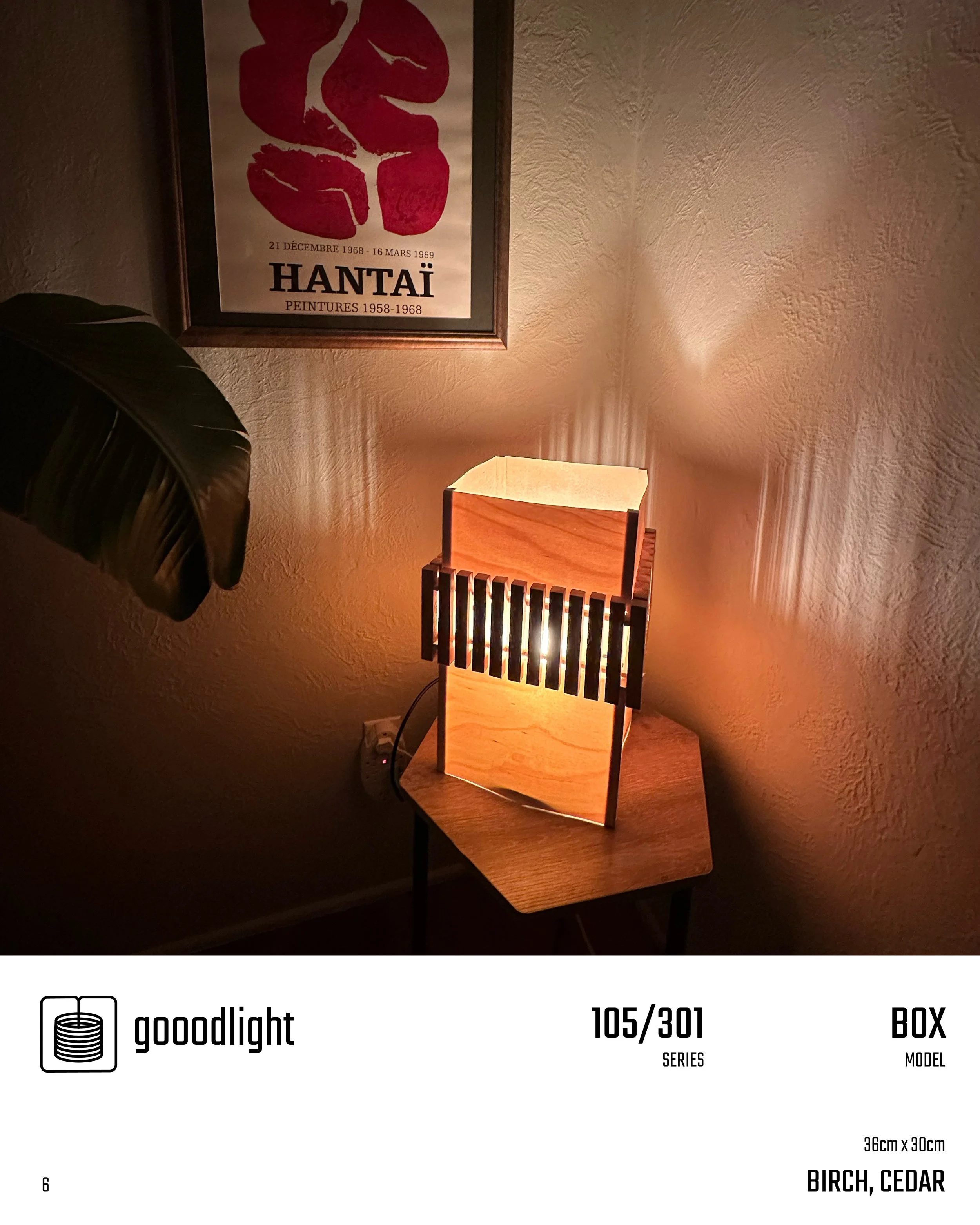 Goodlight_8.jpg