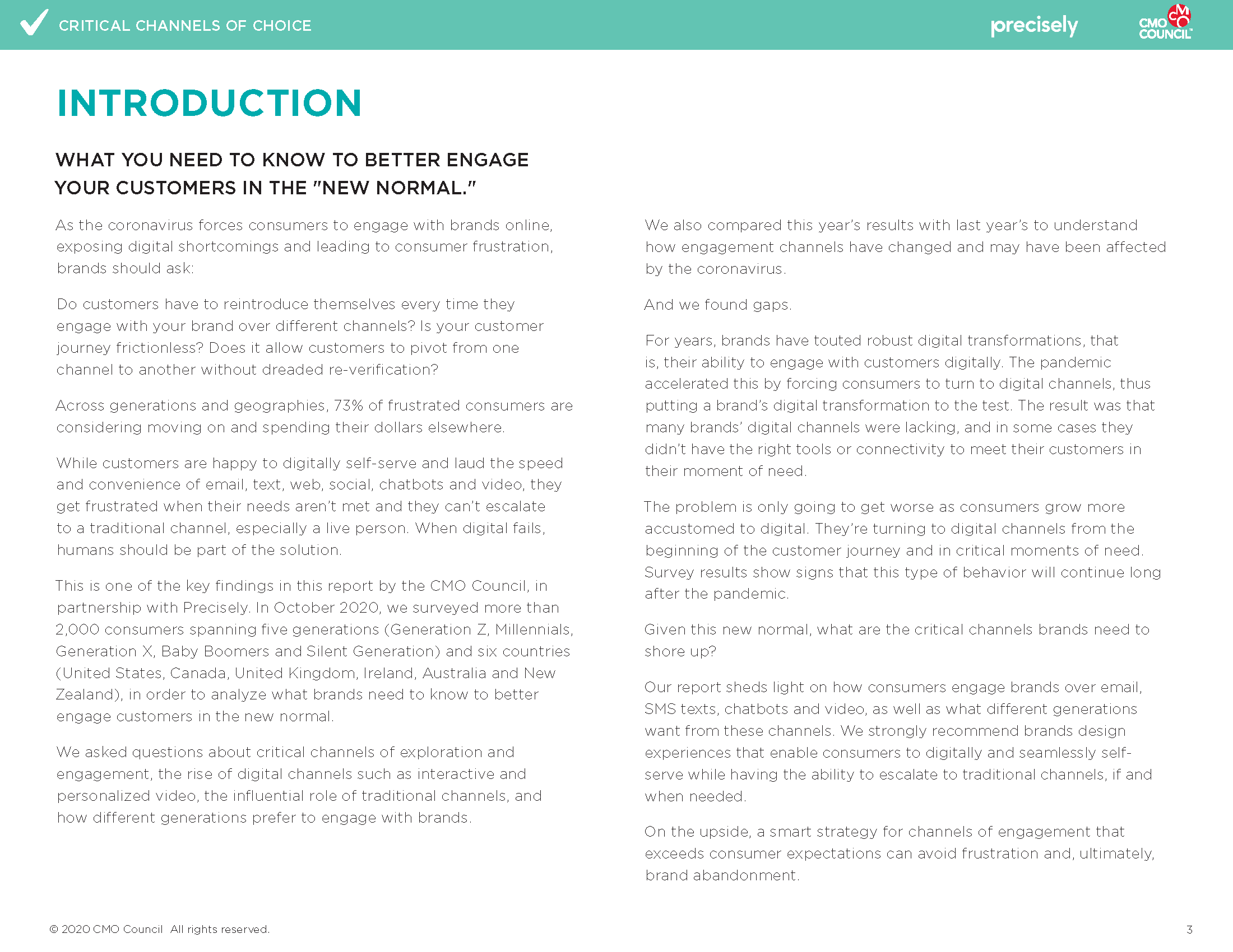 Critical Channels Precisey Report-Final_Page_03.png